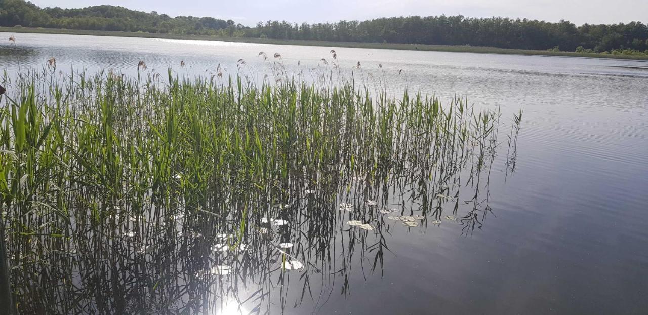 Ferienresidenz Naturoase Krakow am See Exterior foto